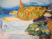 Sea Turtle With Queen Angel