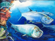 Six Tarpons